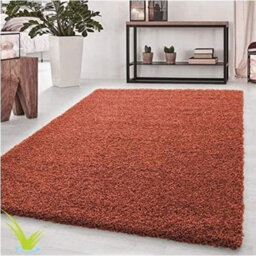 STALWART Modern Shaggy Rug - 5Cm Plush Thick Pile, Non-Slip, Soft Touch Carpet - Washable Area Rugs (Terracotta, 120X170 Cm) - thumbnail 1
