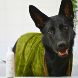 Refresh By Henry Wag Dog Cleaning Towel, Size Small - thumbnail 2