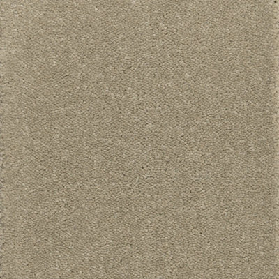 Tranquillity Platinum Bleach Cleanable Carpet By Remland (Nude, 2M X 4M)