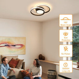 Pheashine Double Round Led Aluminum Ceiling Light All Black Round Stepless Dimming With Remote Control - thumbnail 5