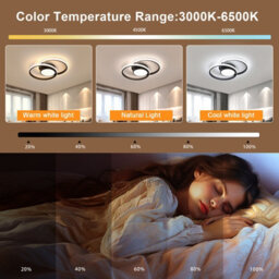 Pheashine Double Round Led Aluminum Ceiling Light All Black Round Stepless Dimming With Remote Control - thumbnail 7