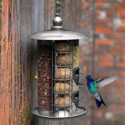 Crystals 2Pcs Garden Bird Feeder Hanging Metal Seed Nut & Fat Ball Feeding Station - thumbnail 3