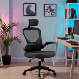 Modern Fitness Gaming Chair Computer Desk Office Chair - thumbnail 1