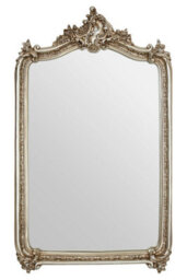 Orsina Exquisite Ornate Champagne Wall Mirror,lounge Mirror With Intricate Floral Motifs,decorative Framed Mirror - thumbnail 5