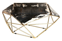 Orsina Relic Dark Petrified Wood Coffee Table - thumbnail 1