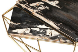 Orsina Relic Dark Petrified Wood Coffee Table - thumbnail 3