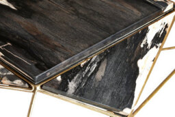 Orsina Relic Dark Petrified Wood Coffee Table - thumbnail 4