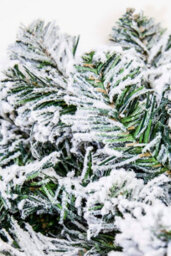 Christmas Tree World 270Cm (9Ft/270Cm) Flocked Arbor Vitae Garland - thumbnail 6