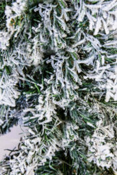Christmas Tree World 270Cm (9Ft/270Cm) Flocked Arbor Vitae Garland - thumbnail 8