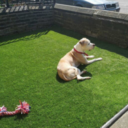 "Velvet 40mm Super Soft Outdoor Artificial Grass, Premium Artificial Grass For Lawn Patio-7M(23') X 4M(13'1"")-28M²" - thumbnail 7