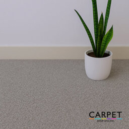 Carpet Shop Online Serene Saxony Stone Grey Carpet 2.5M X 4M - thumbnail 4