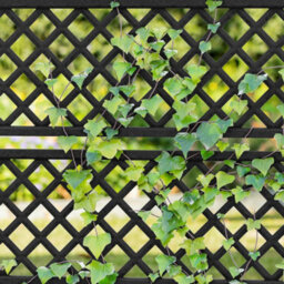 Keter Cortina Privacy Tulip Screen Planter Outdoor Evotech Wood-Effect Divider With Integrated Planter Box, Grey - thumbnail 3