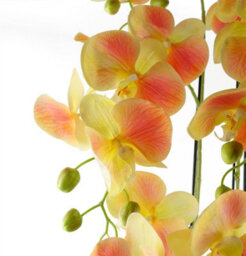 Leaf 110Cm Large Yellow Peach Orchid Plant - Artifcial - 41 Real Touch Flowers - thumbnail 2