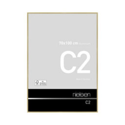 Nielsen C2 Brushed Gold Aluminium Picture Frame 70X100Cm - With Float Glass And Push/turn Clips - thumbnail 1