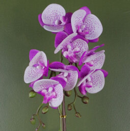 Leaf Artificial 50Cm Phalaenopsis Orchid - Purple / White - Gold Pot - thumbnail 2