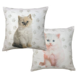 Cute Kittens Duchess Pack Of 2 Cushion Covers, Rachael Hale Paw Print Meow Gracie Cats - thumbnail 1