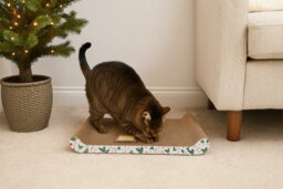 Almineez 2 X Cat Scratching Board With Catnip Reversible Corrugated Cardboard Scratch Pad - thumbnail 7