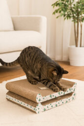 Almineez 2 X Cat Scratching Board With Catnip Reversible Corrugated Cardboard Scratch Pad - thumbnail 2