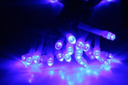 Best Artificial 40 Led Indoor Battery String Lights 4M Length Party Fairy Christmas / Blue / Clear Cable