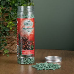 Samuel Alexander 125G Snowberry Pine Cones Scentsicles Scentfetti Christmas Decoration - thumbnail 3