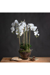 Elegant Large White Orchid In Glass Pot, Realistic Faux Flower For Home Decor - thumbnail 1
