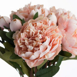 Wyld Haus Set Of 3 Peach Peony Artificial Flower Stems 580mm - thumbnail 5