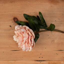 Wyld Haus Set Of 3 Peach Peony Artificial Flower Stems 580mm - thumbnail 2