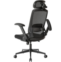 Realm Of Thrones Ergonomic Office Chair 3D Headrest And Adjustable Lumbar Support Desk Chair For Home Gaming Desk Chair - thumbnail 2
