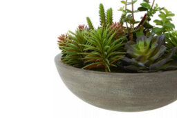 Orsina Mixed Succulent In Stone Effect Pot, Faux Multicoloured Succulent Arrangement In Rustic Grey Planter - thumbnail 8