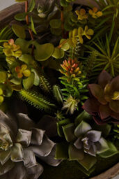 Orsina Mixed Succulent In Stone Effect Pot, Faux Multicoloured Succulent Arrangement In Rustic Grey Planter - thumbnail 6