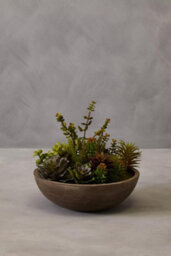 Orsina Mixed Succulent In Stone Effect Pot, Faux Multicoloured Succulent Arrangement In Rustic Grey Planter - thumbnail 4