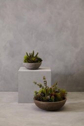 Orsina Mixed Succulent In Stone Effect Pot, Faux Multicoloured Succulent Arrangement In Rustic Grey Planter - thumbnail 7