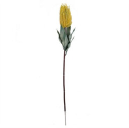 Leaf Pack Of 6 X 75Cm Banksia Menziesii Yellow Flower Stem Artificial - thumbnail 3