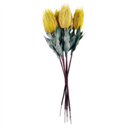 Leaf Pack Of 6 X 75Cm Banksia Menziesii Yellow Flower Stem Artificial - thumbnail 2