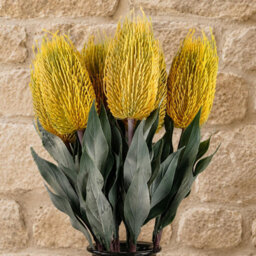 Leaf Pack Of 6 X 75Cm Banksia Menziesii Yellow Flower Stem Artificial - thumbnail 8