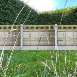 Premier Garden Supplies Urban Square Trellis Pack Of 4 W.6Ft (183Cm) X H.1Ft (30Cm) Wooden Framed Plant Support Lattice - thumbnail 8