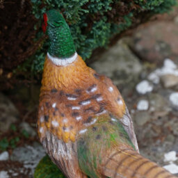 Burgess Pheasant Resin Sculpture Home Garden British Game Bird Statue Outdoor Ornament Birds Gift - thumbnail 6