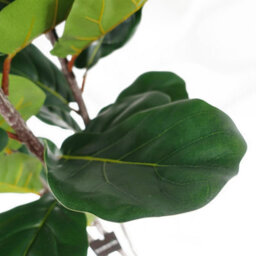 Leaf 120Cm Premium Artificial Fiddle Fig Tree - thumbnail 5