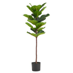 Leaf 120Cm Premium Artificial Fiddle Fig Tree