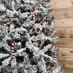 Samuel Alexander Set Of 6 12Cm Glass Red And White Stripe Candy Cane Christmas Tree Decorations - thumbnail 5