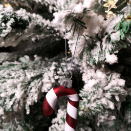 Samuel Alexander Set Of 6 12Cm Glass Red And White Stripe Candy Cane Christmas Tree Decorations - thumbnail 2