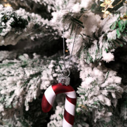 Samuel Alexander Set Of 6 12Cm Glass Red And White Stripe Candy Cane Christmas Tree Decorations - thumbnail 8