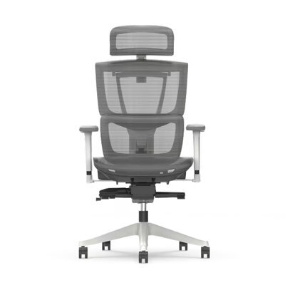 Flexispot Ergonomic Chair With Split Lumbar Support C7 In White&grey No Footrest - image 1