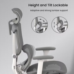 Flexispot Ergonomic Chair With Split Lumbar Support C7 In White&grey No Footrest - thumbnail 4
