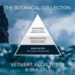 French Connection Vetivert, Eucalyptus & Sea Salt Real Dried Botanicals Infused Scented Pillar Candle, Vegetable Wax Blend - thumbnail 7