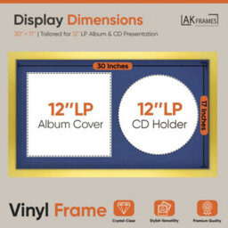 "30X17"" Gold Modern Vinyl Record Frame With Blue Mount For 12 Inch Lp Album Cover & Disc - Ak Frames" - thumbnail 2