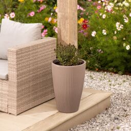 Strata Pacific Cappuccino Scallop Plastic Resin Plant Pot (Dia) 33Cm, (H)48Cm - thumbnail 2