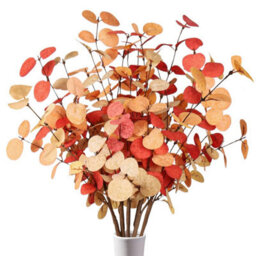 CLEFFNS 10Pcs Fall Decor Eucalyptus Stems 60Cm Tall, Artificial Leaves Branches For Vase, Autumn Picks Thanksgiving Floral Bouquet Decor - thumbnail 1