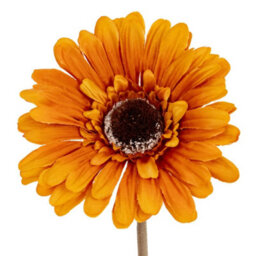 Hill Interiors Soft Gerbera Gerbera Artificial Flower Yellow (One Size) - thumbnail 1