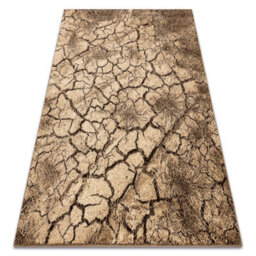 RugsX Carpet Karmel Terra Cracked Ground Nut  300X400 Cm - thumbnail 4